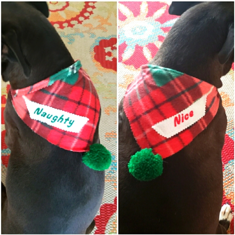 DOG SCARF - HOLIDAY "REVERSIBLE" EMBROIDERED -  Naughty Nice - SIZE  Sm, Med, Lg